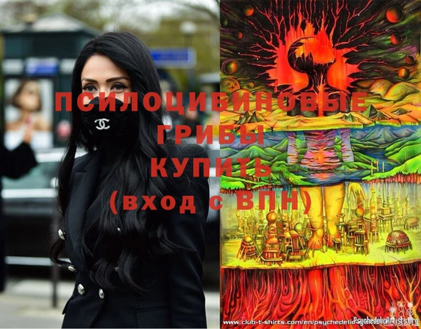 марки lsd Абаза